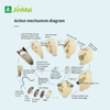 Biocontrol Agent Of Root Knot Nematode