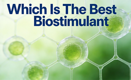 ما هو أفضل Biostimulant.jpg