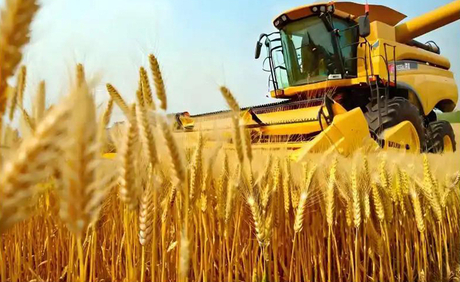 Jinmai Biotech acelera la transformaci&oacute;n y la innovaci&oacute;n para 2025_01.jpg