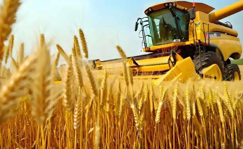 Jinmai Biotech ускоряет стратегическую трансформацию за счет реструктуризации продукции, интеграции исследований и разработок и модернизации производства в 2025 году