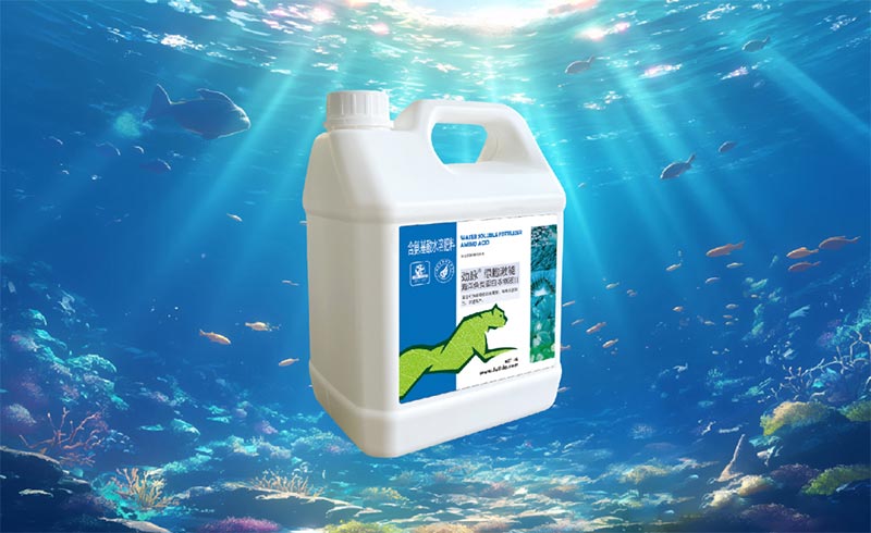 فهم أسمدة الأحماض الأمينية والببتيد وبروتين السمك: ما الذي يجعلها مختلفة - وسبب أهميتها