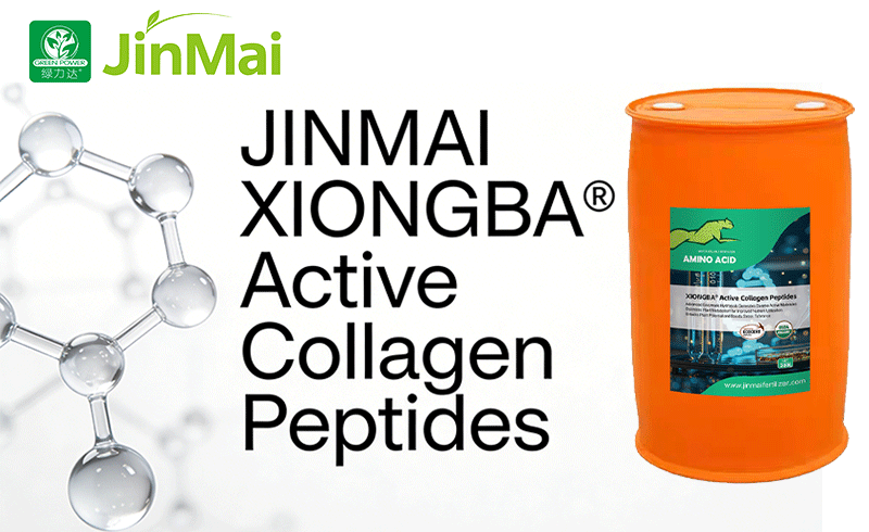 JINMAI XIONGBA&reg; सक्रिय कोलेजन पेप्टाइड्स