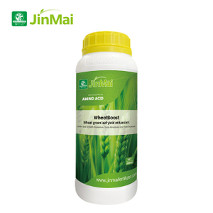 밀 녹색 잎 수확량 강화제 비료