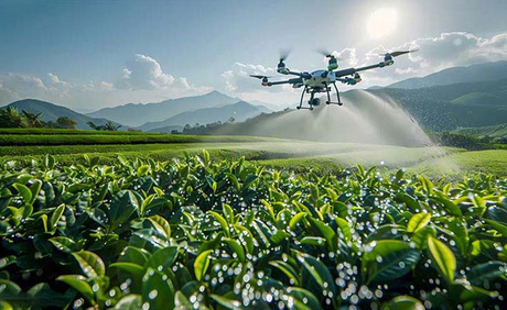 Does-Foliar-Fertilizer-Work_01.jpg