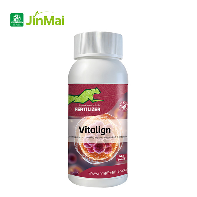 진마이 Vitalign&reg;